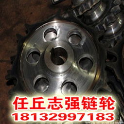 上海供應雙排鏈輪滾子鏈輪雙排鏈輪廠 任丘市志強齒輪廠 鏈輪